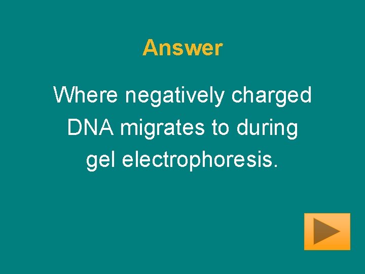 Answer Where negatively charged DNA migrates to during gel electrophoresis. 