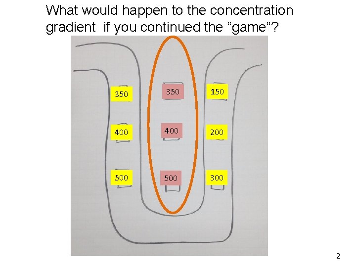 What would happen to the concentration gradient if you continued the “game”? 350 150