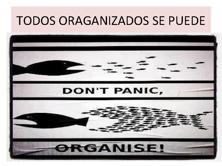 TODOS ORAGANIZADOS SE PUEDE 