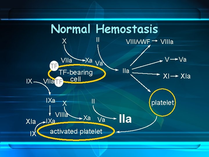 Normal Hemostasis II X TF IX IX IIa II X VIIIa IXa Xa VIIIa