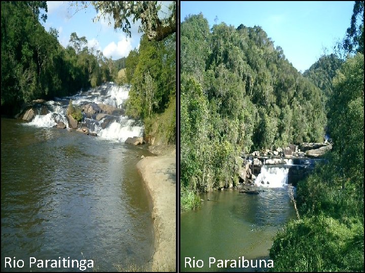 Rio Paraitinga Rio Paraibuna 