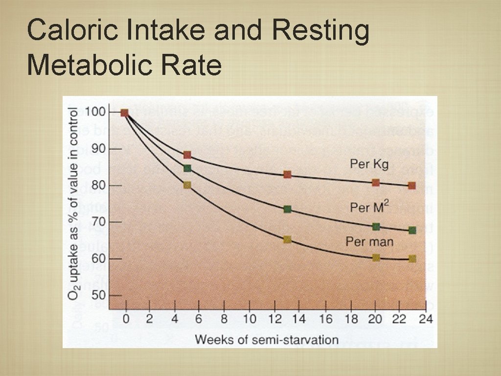 Caloric Intake and Resting Metabolic Rate 