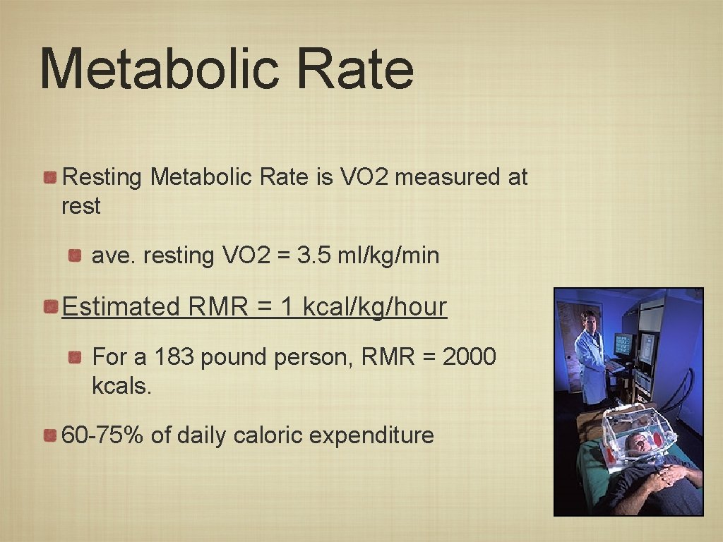 Metabolic Rate Resting Metabolic Rate is VO 2 measured at rest ave. resting VO