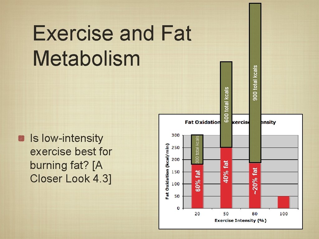 900 total kcals ~20% fat 40% fat 60% fat Is low-intensity exercise best for