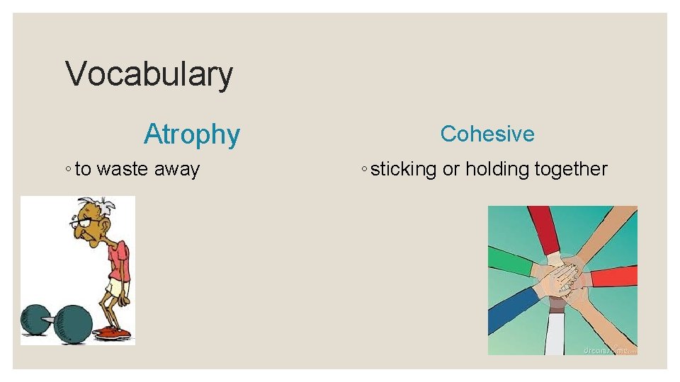 Vocabulary Atrophy ◦ to waste away Cohesive ◦ sticking or holding together 