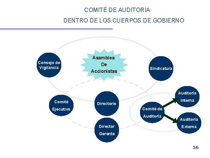 COMITÉ DE AUDITORIA DENTRO DE LOS CUERPOS DE GOBIERNO Consejo de Vigilancia Asamblea De