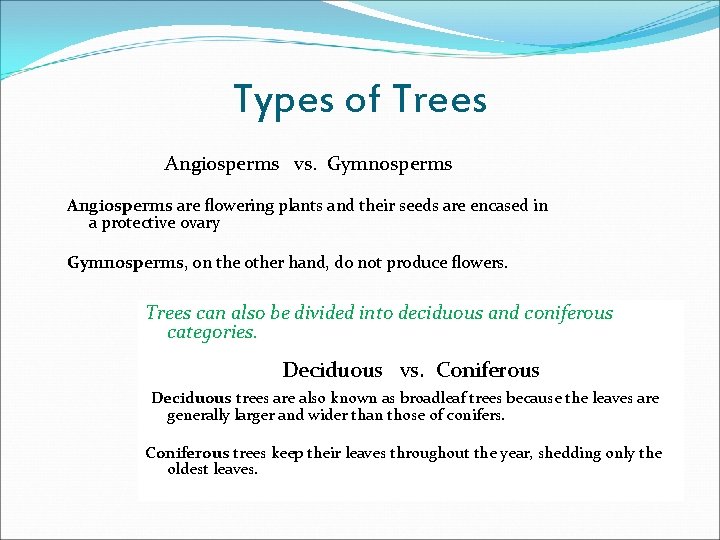 Types of Trees Angiosperms vs. Gymnosperms Angiosperms are flowering plants and their seeds are