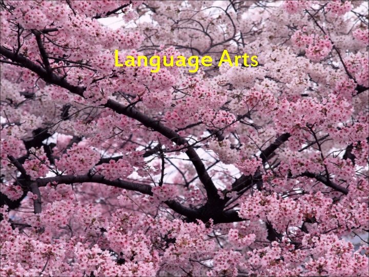 Language Arts 