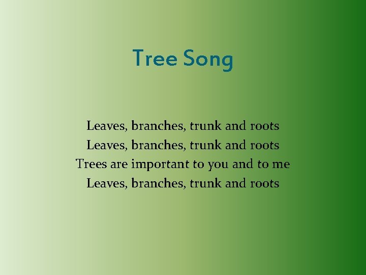 Tree Song Leaves, branches, trunk and roots Trees are important to you and to