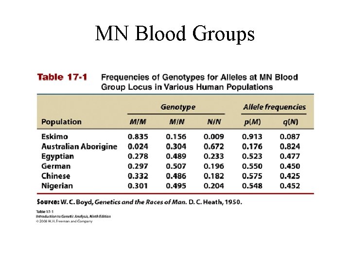 MN Blood Groups 