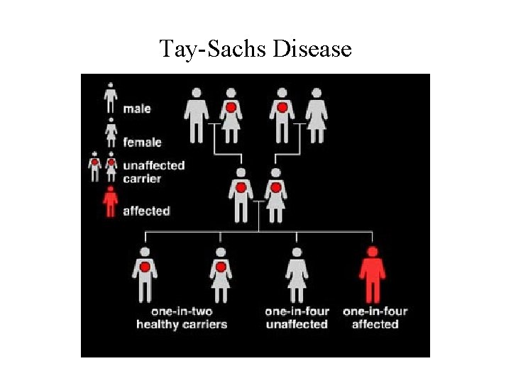 Tay-Sachs Disease 