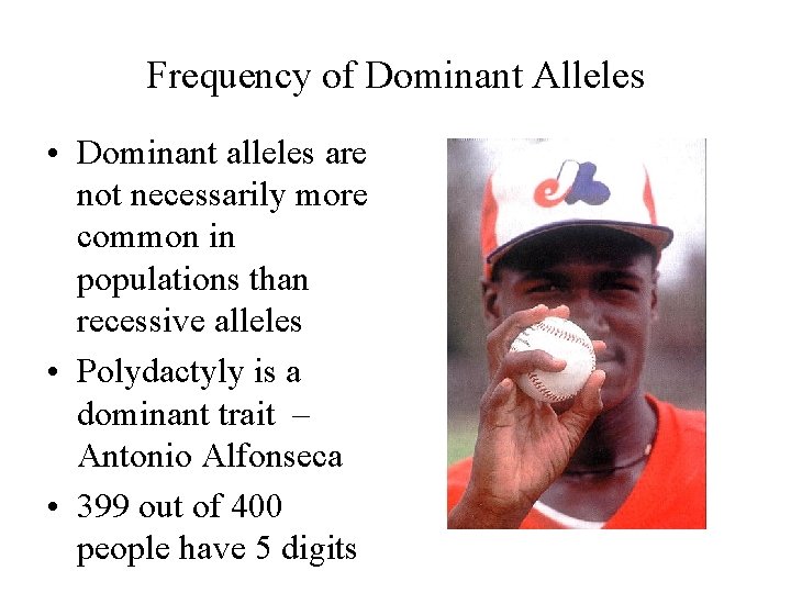 Frequency of Dominant Alleles • Dominant alleles are not necessarily more common in populations