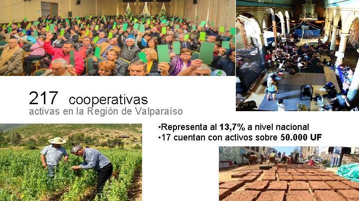 217 cooperativas activas en la Región de Valparaíso • Representa al 13, 7% a