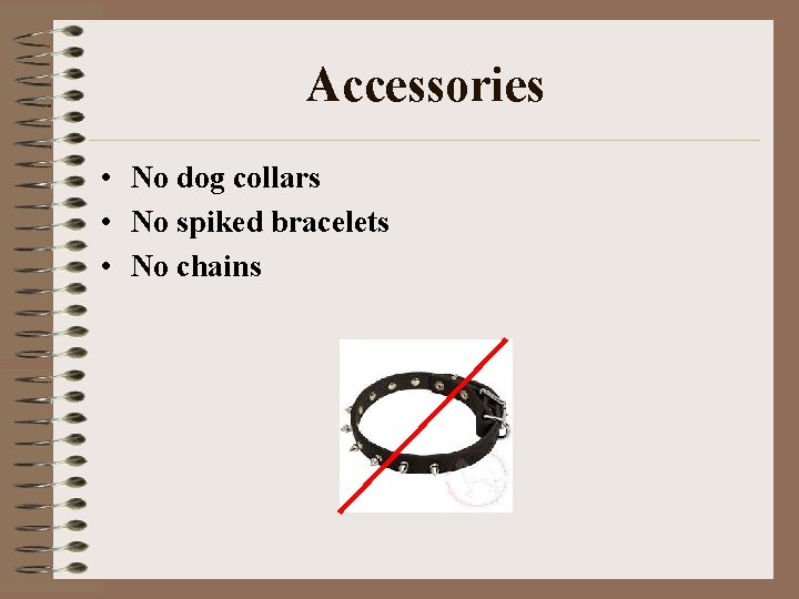 Accessories • No dog collars • No spiked bracelets • No chains 