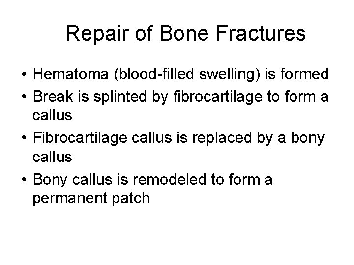 Repair of Bone Fractures • Hematoma (blood-filled swelling) is formed • Break is splinted
