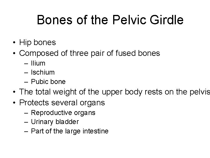 Bones of the Pelvic Girdle • Hip bones • Composed of three pair of