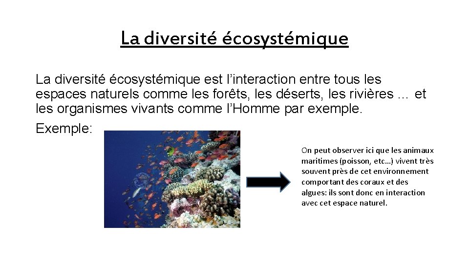 La diversité écosystémique est l’interaction entre tous les espaces naturels comme les forêts, les