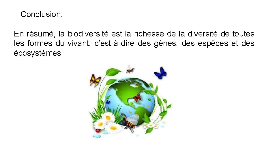 Conclusion: En résumé, la biodiversité est la richesse de la diversité de toutes les