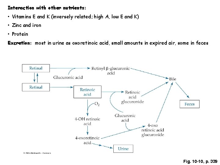 Interaction with other nutrients: • Vitamins E and K (inversely related; high A, low