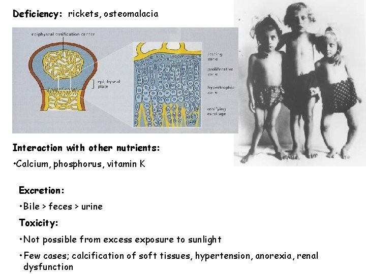 Deficiency: rickets, osteomalacia Interaction with other nutrients: • Calcium, phosphorus, vitamin K Excretion: •