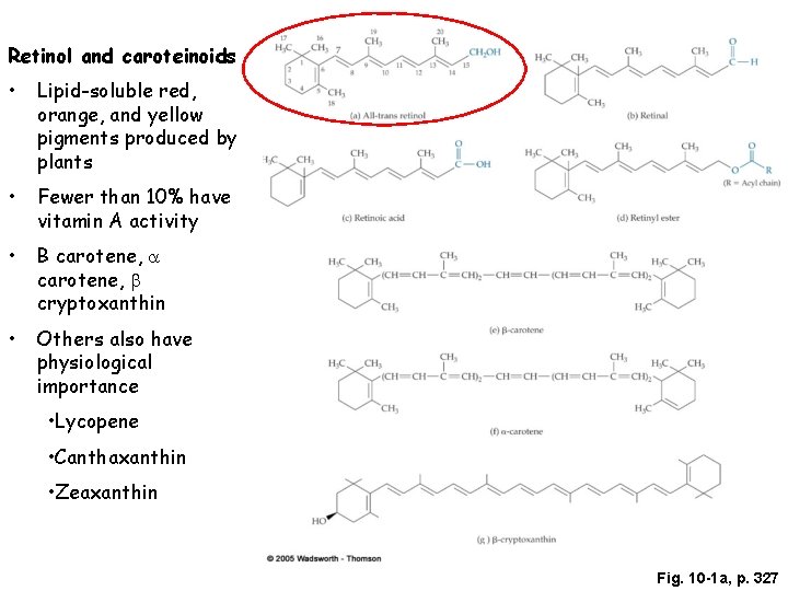 Retinol and caroteinoids • Lipid-soluble red, orange, and yellow pigments produced by plants •