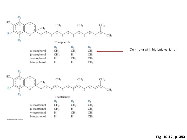 Only form with biologic activity Fig. 10 -17, p. 353 