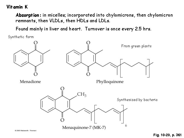 Vitamin K Absorption: in micelles; incorporated into chylomicrons, then chylomicron remnants, then VLDLs, then