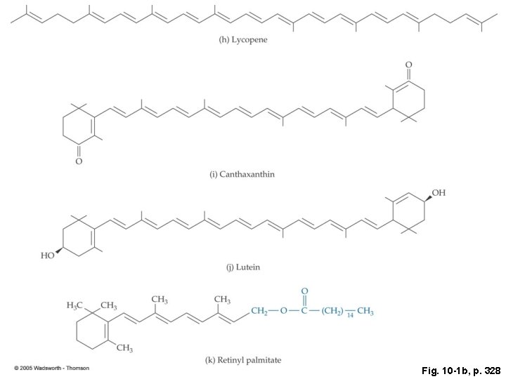 Fig. 10 -1 b, p. 328 