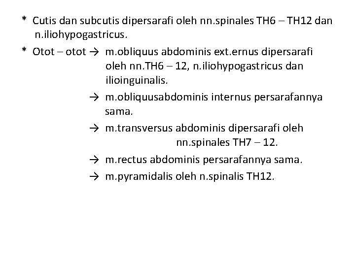* Cutis dan subcutis dipersarafi oleh nn. spinales TH 6 – TH 12 dan