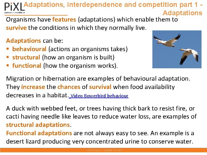 Adaptations, interdependence and competition part 1 Adaptations Organisms have features (adaptations) which enable them