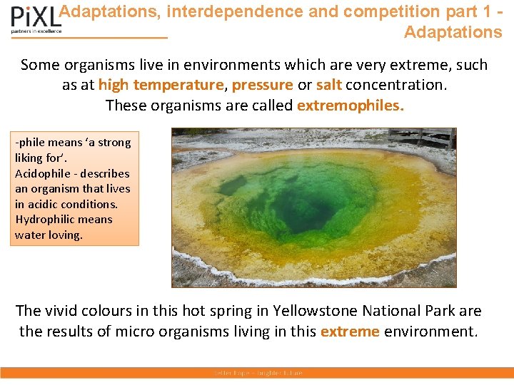 Adaptations, interdependence and competition part 1 Adaptations Some organisms live in environments which are