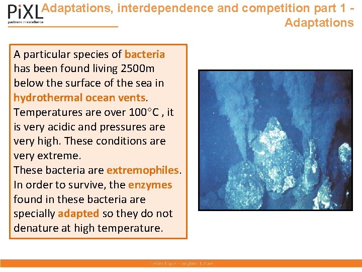 Adaptations, interdependence and competition part 1 Adaptations A particular species of bacteria has been