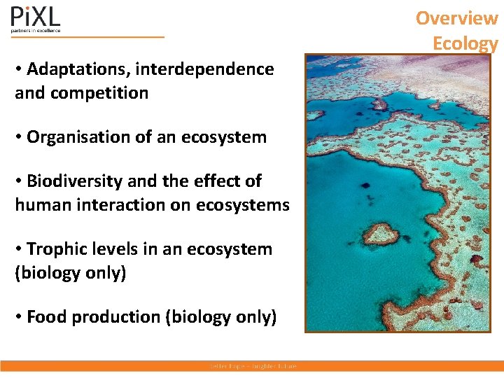 Overview Ecology • Adaptations, interdependence and competition • Organisation of an ecosystem • Biodiversity