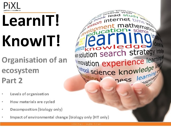 Learn. IT! Know. IT! Organisation of an ecosystem Part 2 • Levels of organisation