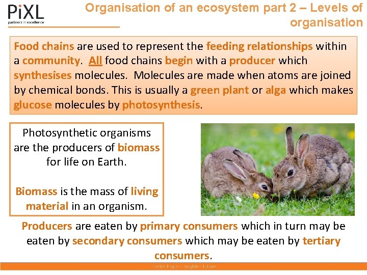 Organisation of an ecosystem part 2 – Levels of organisation Food chains are used