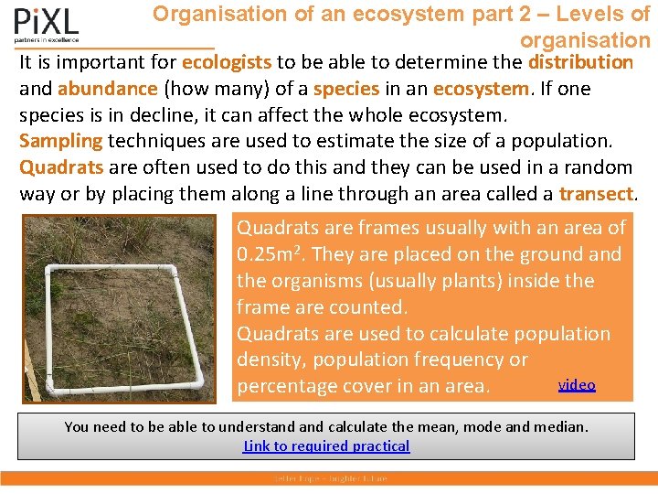 Organisation of an ecosystem part 2 – Levels of organisation It is important for