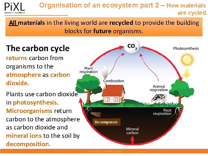 Organisation of an ecosystem part 2 – How materials are cycled. All materials in