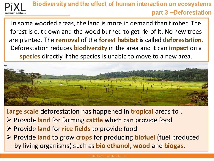 Biodiversity and the effect of human interaction on ecosystems part 3 –Deforestation In some