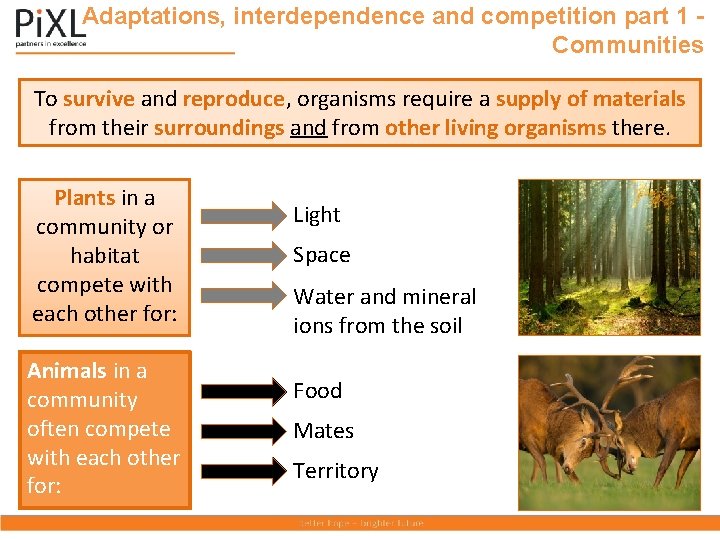 Adaptations, interdependence and competition part 1 Communities To survive and reproduce, organisms require a