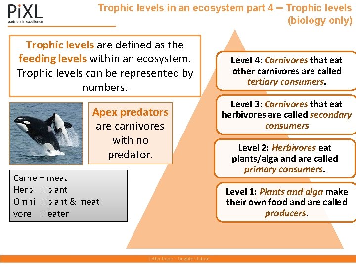 Trophic levels in an ecosystem part 4 – Trophic levels (biology only) Trophic levels