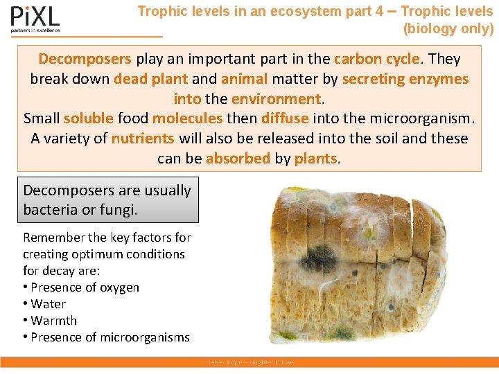Trophic levels in an ecosystem part 4 – Trophic levels (biology only) Decomposers play