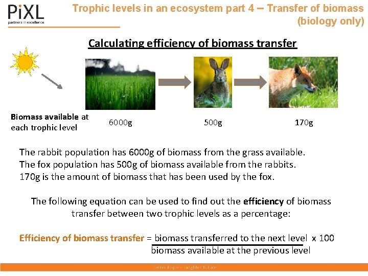 Trophic levels in an ecosystem part 4 – Transfer of biomass (biology only) Calculating