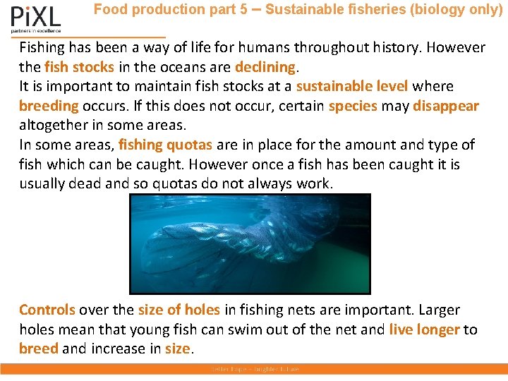 Food production part 5 – Sustainable fisheries (biology only) Fishing has been a way