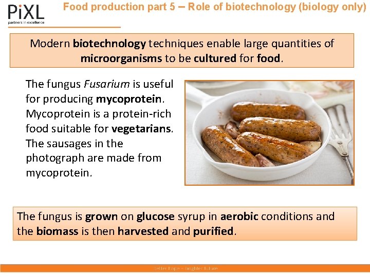Food production part 5 – Role of biotechnology (biology only) Modern biotechnology techniques enable
