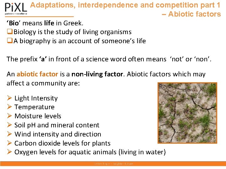 Adaptations, interdependence and competition part 1 – Abiotic factors ‘Bio’ means life in Greek.