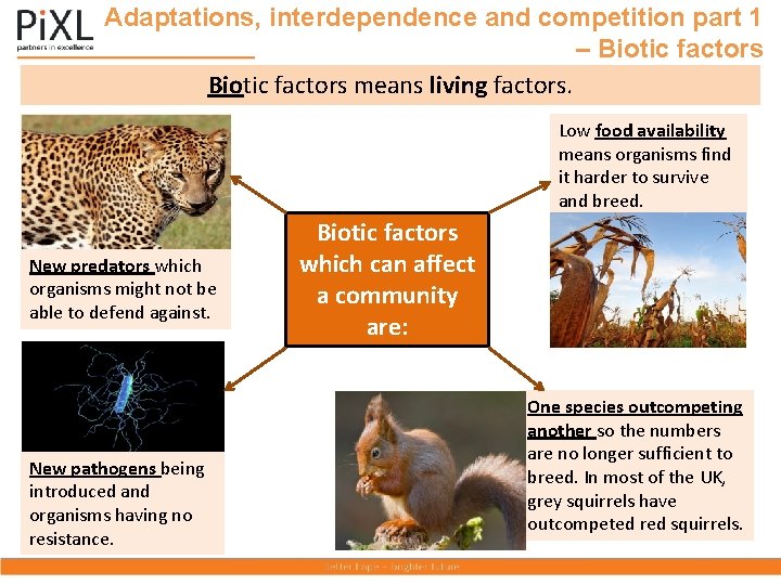 Adaptations, interdependence and competition part 1 – Biotic factors means living factors. Low food