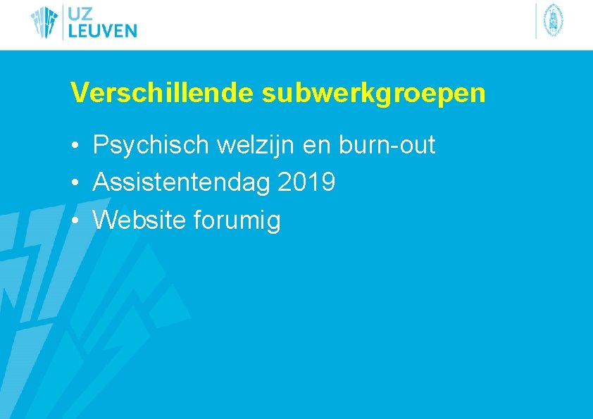 Verschillende subwerkgroepen • Psychisch welzijn en burn-out • Assistentendag 2019 • Website forumig 