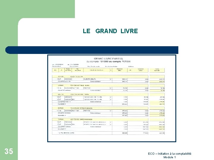 LE GRAND LIVRE 35 ECO – Initiation à la comptabilité Module 1 