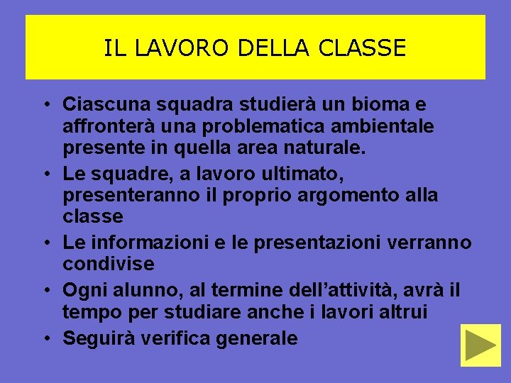 IL LAVORO DELLA CLASSE • Ciascuna squadra studierà un bioma e affronterà una problematica