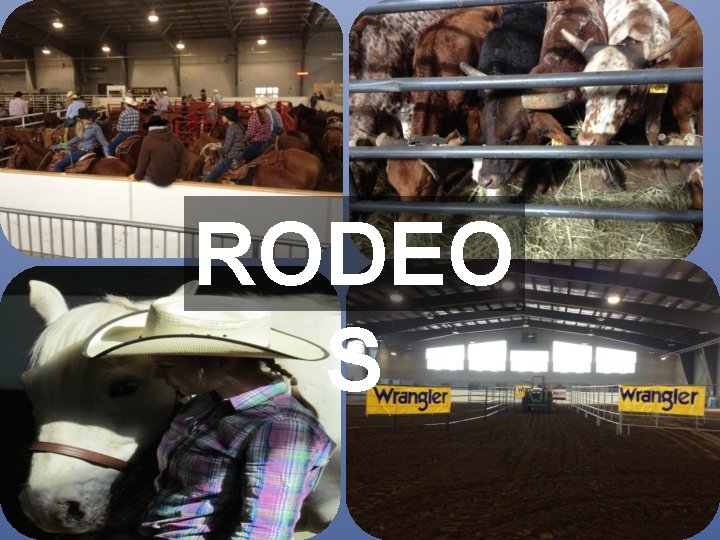 RODEO S 